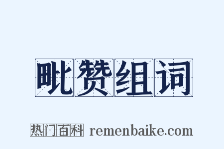 毗赞组词是什么意思的图片